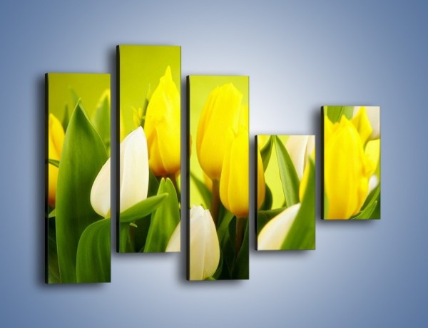 Obraz na płótnie – Nie tylko tulipany – pięcioczęściowy K425W4