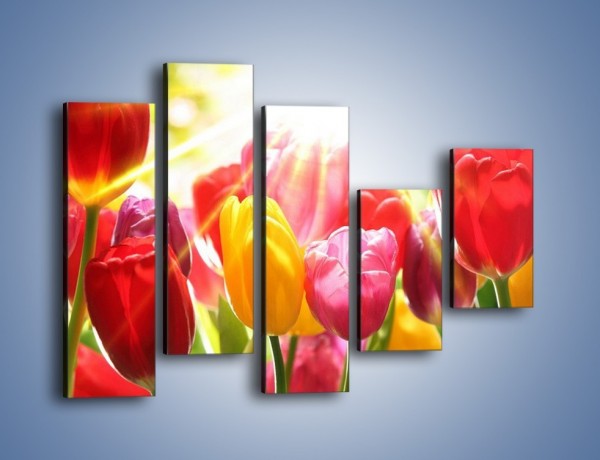 Obraz na płótnie – Bajecznie słoneczne tulipany – pięcioczęściowy K428W4