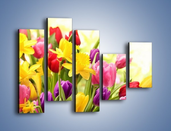 Obraz na płótnie – Żonkile wśród tulipanów – pięcioczęściowy K430W4