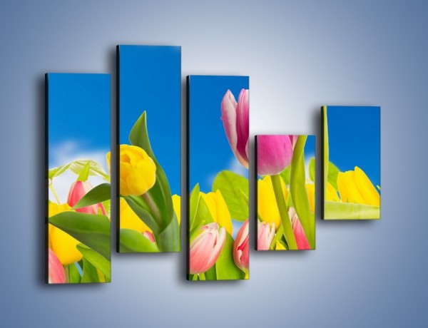 Obraz na płótnie – Kolorowe tulipany w bajkowej oprawie – pięcioczęściowy K431W4