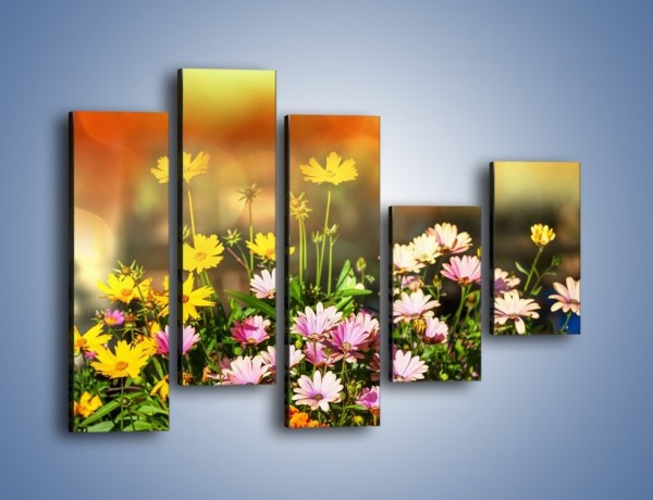 Obraz na płótnie – Polne kwiaty z uśmiechem – pięcioczęściowy K456W4