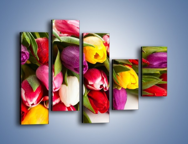 Obraz na płótnie – Spokój i luz zachowany w tulipanach – pięcioczęściowy K538W4