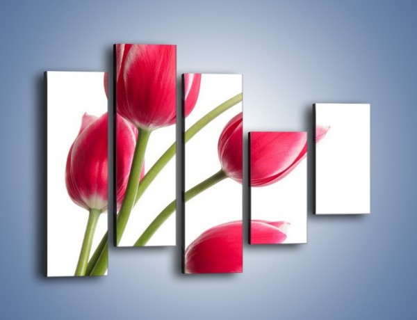 Obraz na płótnie – Pięć razy tulipany – pięcioczęściowy K551W4