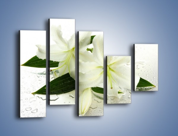 Obraz na płótnie – Niewinność białej lilii – pięcioczęściowy K632W4