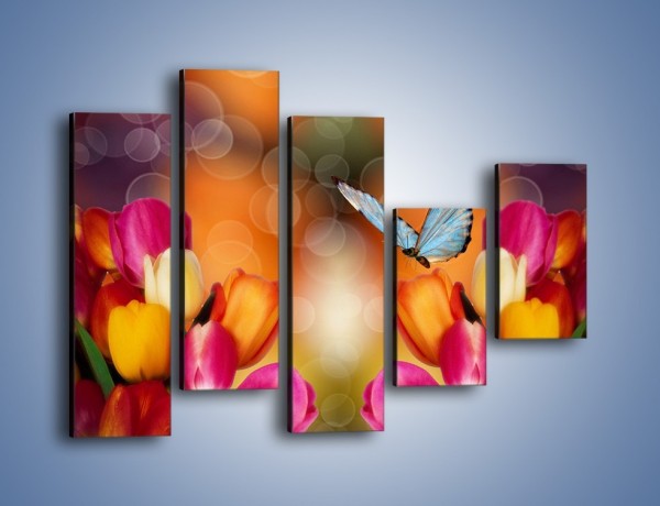 Obraz na płótnie – Motyl wśród tulipanów – pięcioczęściowy K635W4