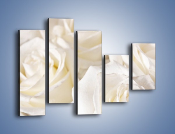 Obraz na płótnie – Dywan z białych róż – pięcioczęściowy K711W4