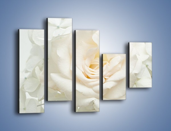 Obraz na płótnie – Czysta biel kwiatów – pięcioczęściowy K712W4