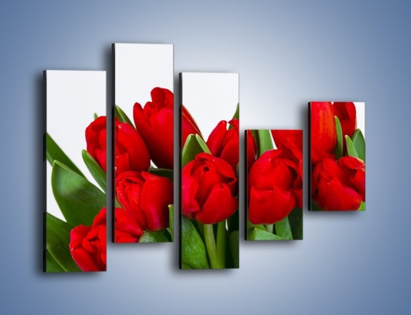 Obraz na płótnie – Tulipany na dzień kobiet – pięcioczęściowy K740W4