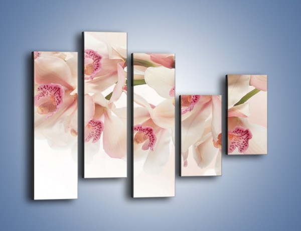 Obraz na płótnie – Szlachetne różowe storczyki – pięcioczęściowy K756W4