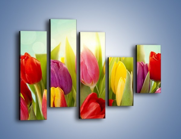 Obraz na płótnie – Tulipany w pierwszym rzędzie – pięcioczęściowy K760W4