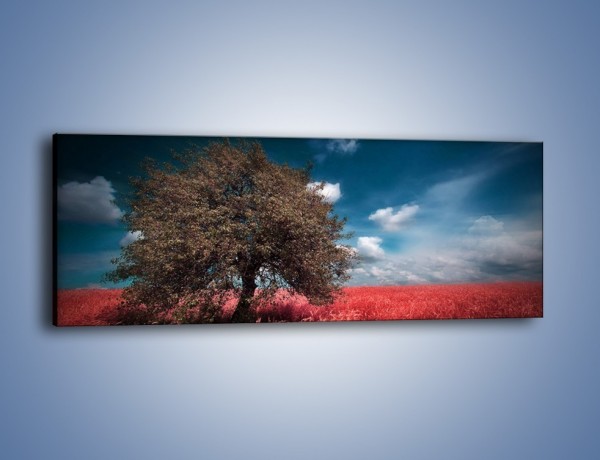 Obraz na płótnie – Drzewo na czerwonej łące – jednoczęściowy panoramiczny KN1246A