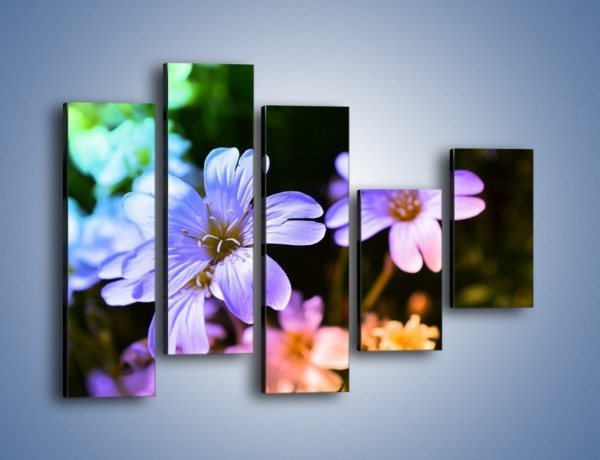 Obraz na płótnie – Niebieskie główki kwiatuszków – pięcioczęściowy K769W4
