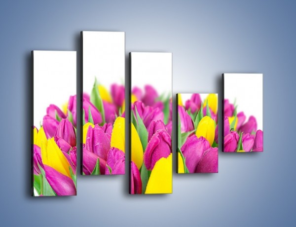 Obraz na płótnie – Bukiet fioletowo-żółtych tulipanów – pięcioczęściowy K778W4