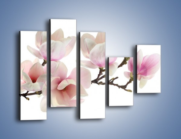 Obraz na płótnie – Zerwana gałązka magnolii – pięcioczęściowy K780W4