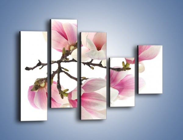 Obraz na płótnie – Wirujące kwiaty magnolii – pięcioczęściowy K781W4