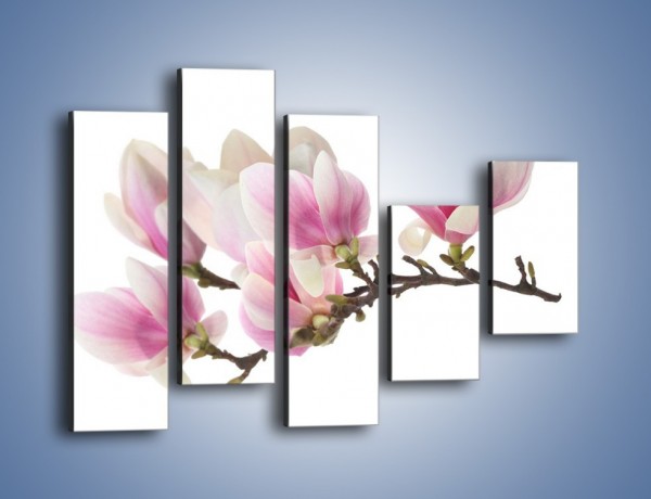 Obraz na płótnie – Rzut na gałąź magnolii – pięcioczęściowy K782W4
