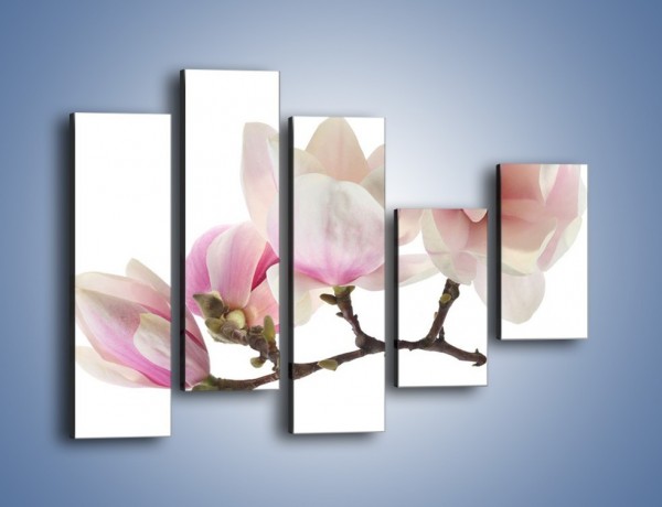 Obraz na płótnie – Obcięte gałązki białych różowych kwiatów – pięcioczęściowy K783W4