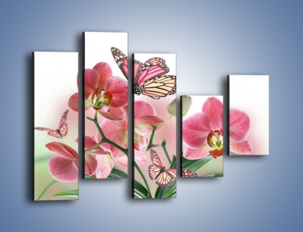 Obraz na płótnie – Różowy motyl czy kwiat – pięcioczęściowy K786W4