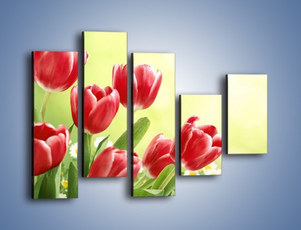 Obraz na płótnie – Polne tulipany i stokrotki – pięcioczęściowy K789W4