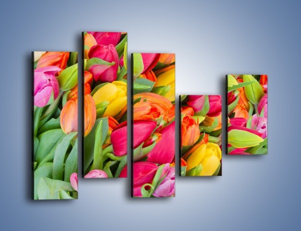 Obraz na płótnie – Ścięte pole tulipanów – pięcioczęściowy K803W4