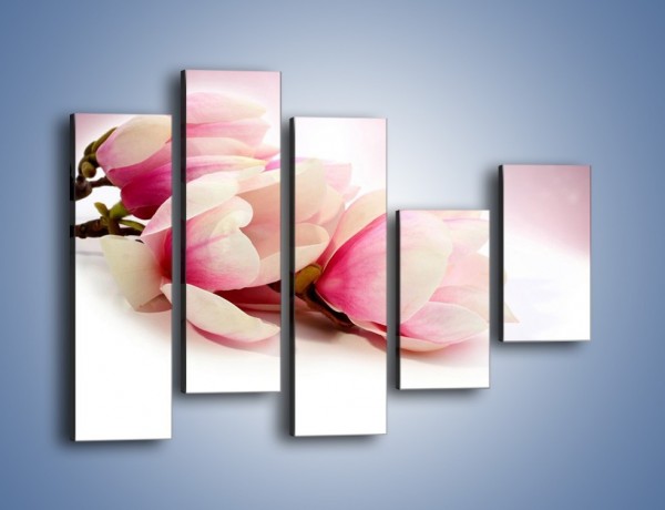 Obraz na płótnie – Gałąź magnolii na obłoku – pięcioczęściowy K817W4