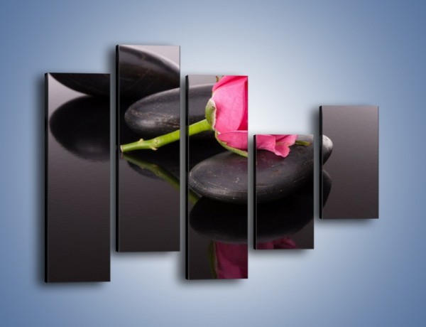 Obraz na płótnie – Ścięta róża na czarnej tafli – pięcioczęściowy K832W4