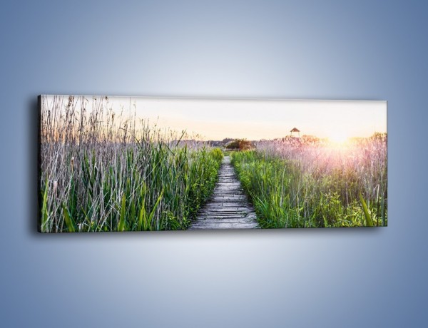 Obraz na płótnie – Kładka wśród mokradeł – jednoczęściowy panoramiczny KN1248A