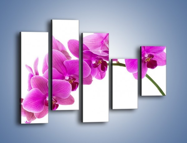 Obraz na płótnie – Kwiaty w lewą stronę – pięcioczęściowy K853W4