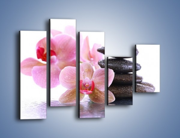 Obraz na płótnie – Deszcz kwiaty i kamienie – pięcioczęściowy K861W4