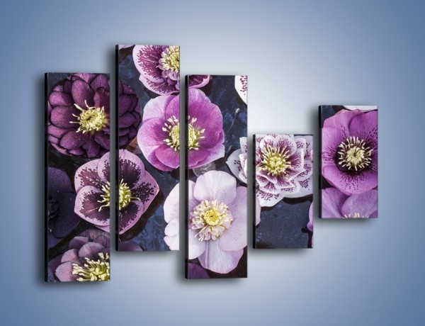 Obraz na płótnie – Wszystkie odcienie fioletu w kwiatach – pięcioczęściowy K876W4