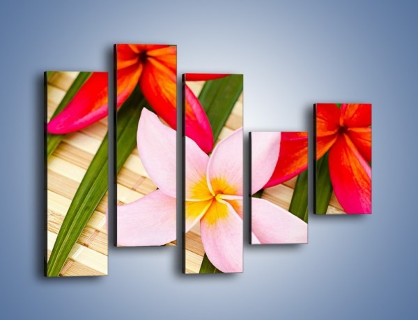 Obraz na płótnie – Liście juki i kwiaty – pięcioczęściowy K897W4