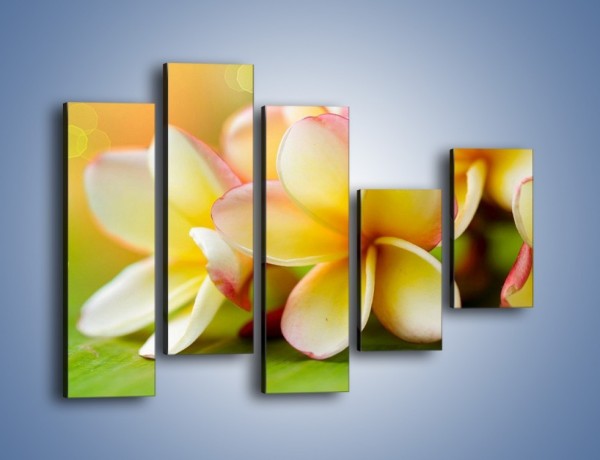 Obraz na płótnie – Kwiaty jak marcepanowe wypieki – pięcioczęściowy K898W4