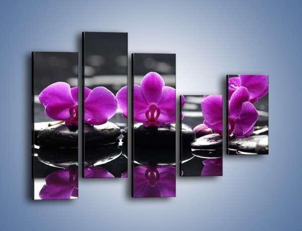 Obraz na płótnie – Wodny szereg kwiatowy – pięcioczęściowy K905W4