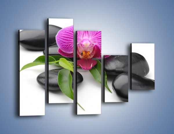Obraz na płótnie – Kwiat i jego liście – pięcioczęściowy K941W4