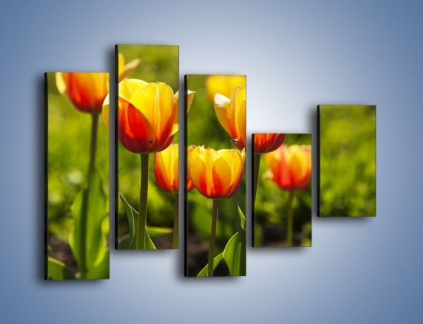 Obraz na płótnie – Pomarańczowe kwiaty i zieleń – pięcioczęściowy K952W4