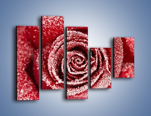 Obraz na płótnie – Szron na różanych płatkach – pięcioczęściowy K958W4