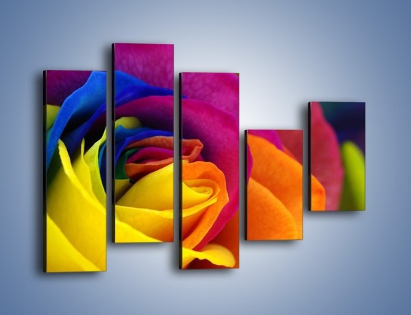 Obraz na płótnie – Pąki róż w kolorach tęczy – pięcioczęściowy K973W4