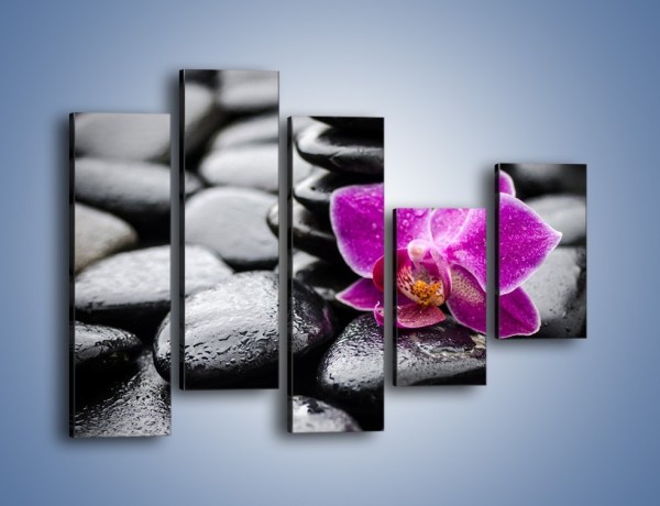 Obraz na płótnie – Malutki kwiatek i morze kamieni – pięcioczęściowy K983W4