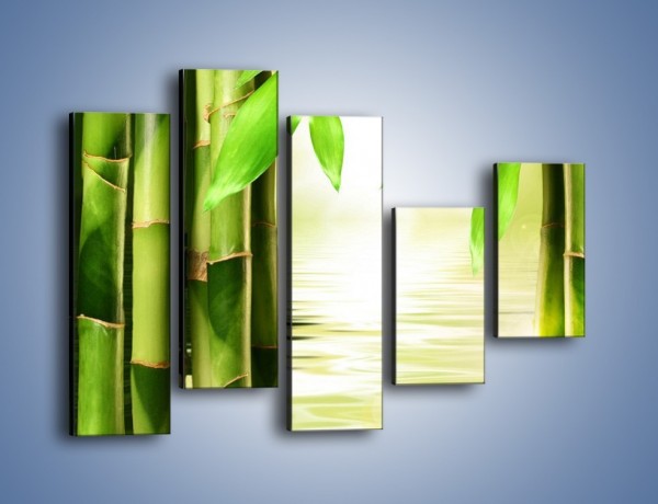 Obraz na płótnie – Bambusowe liście i łodygi – pięcioczęściowy KN027W4