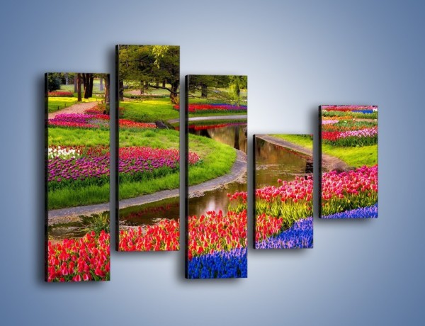 Obraz na płótnie – Aleje kolorowych tulipanów – pięcioczęściowy KN1079W4