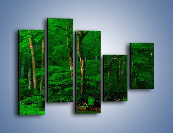 Obraz na płótnie – Mocno zarośnięty las – pięcioczęściowy KN1089AW4