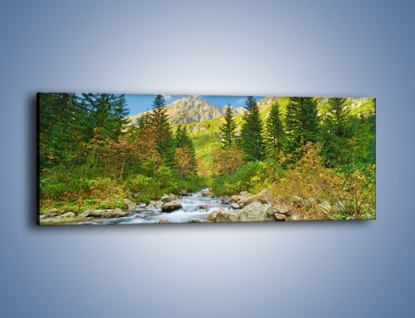 Obraz na płótnie – Płynie strumyk przez zielony las – jednoczęściowy panoramiczny KN1262A