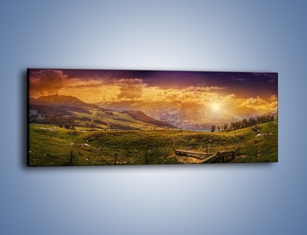 Obraz na płótnie – Opuszczone pastwisko – jednoczęściowy panoramiczny KN1263A