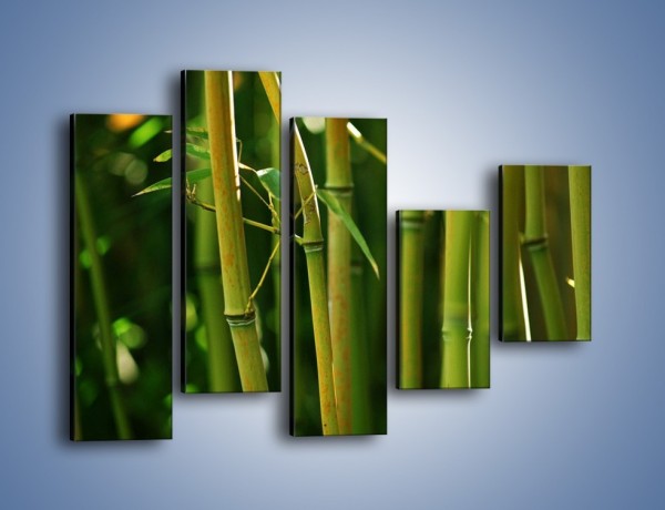 Obraz na płótnie – Bambusowe łodygi z bliska – pięcioczęściowy KN118W4