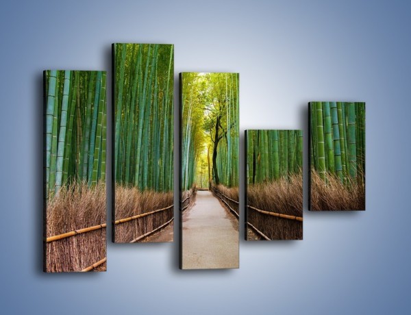 Obraz na płótnie – Bambusowy las – pięcioczęściowy KN1187AW4