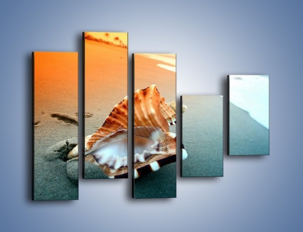 Obraz na płótnie – Szum morza w muszli – pięcioczęściowy KN1217AW4