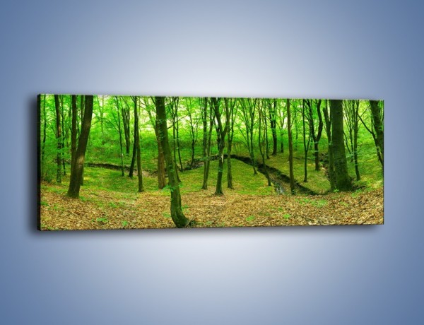 Obraz na płótnie – Wąskie spojrzenie na las – jednoczęściowy panoramiczny KN1264A