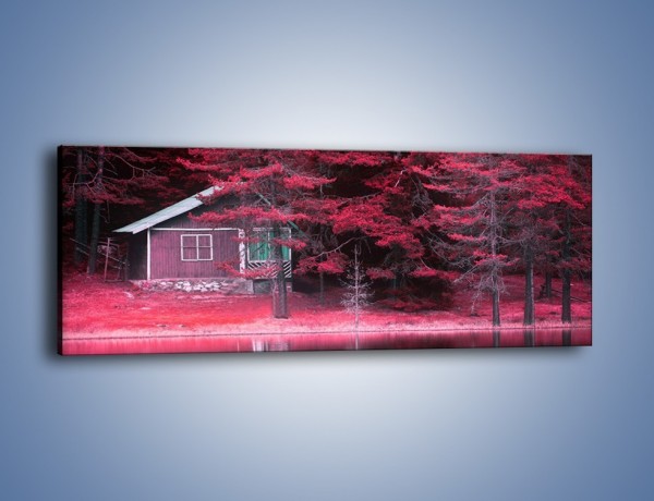 Obraz na płótnie – Kolor purpury w lesie – jednoczęściowy panoramiczny KN1266A