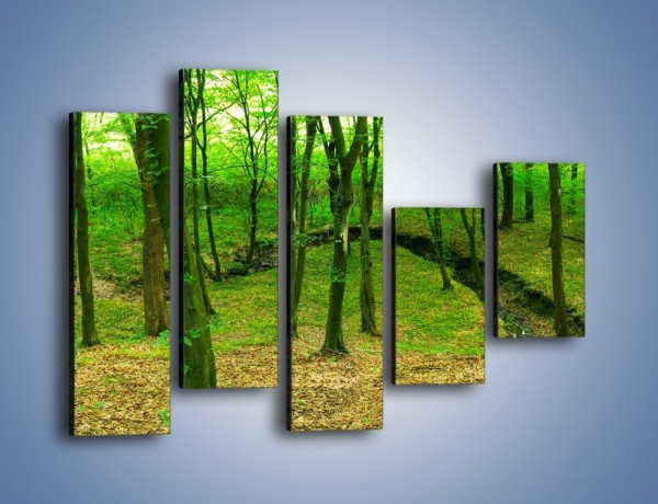 Obraz na płótnie – Wąskie spojrzenie na las – pięcioczęściowy KN1264AW4