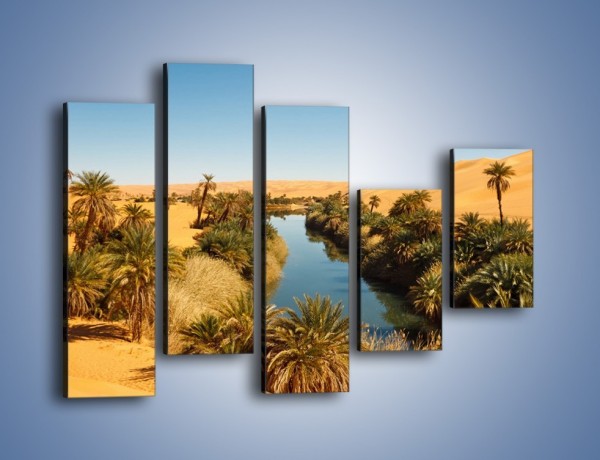 Obraz na płótnie – Woda woda na pustyni – pięcioczęściowy KN1294AW4